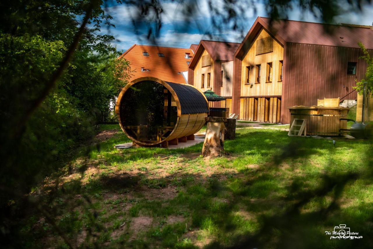 Logis Hotel Altitude Et Spa Pierre-Percée Екстериор снимка