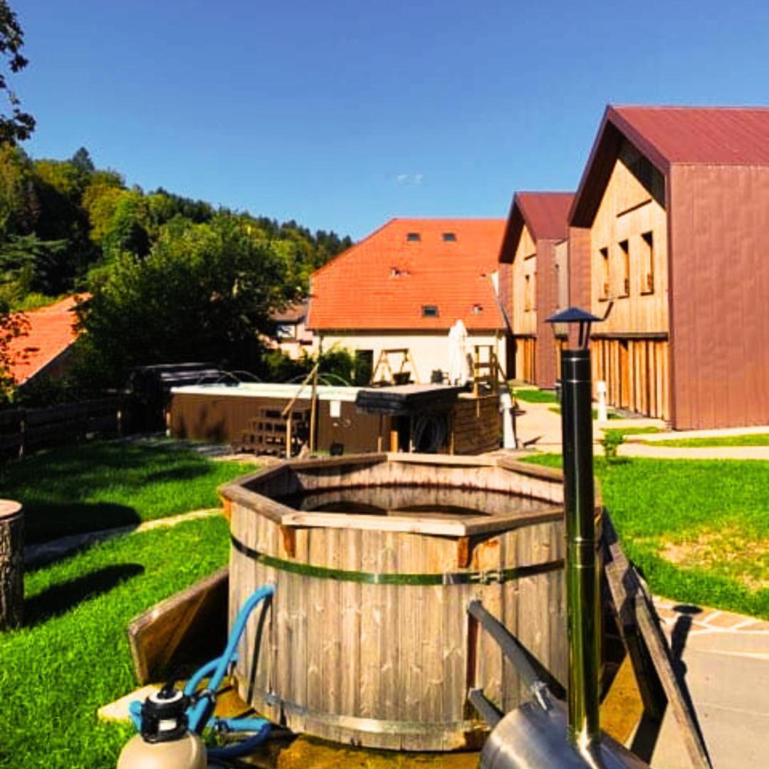 Logis Hotel Altitude Et Spa Pierre-Percée Екстериор снимка